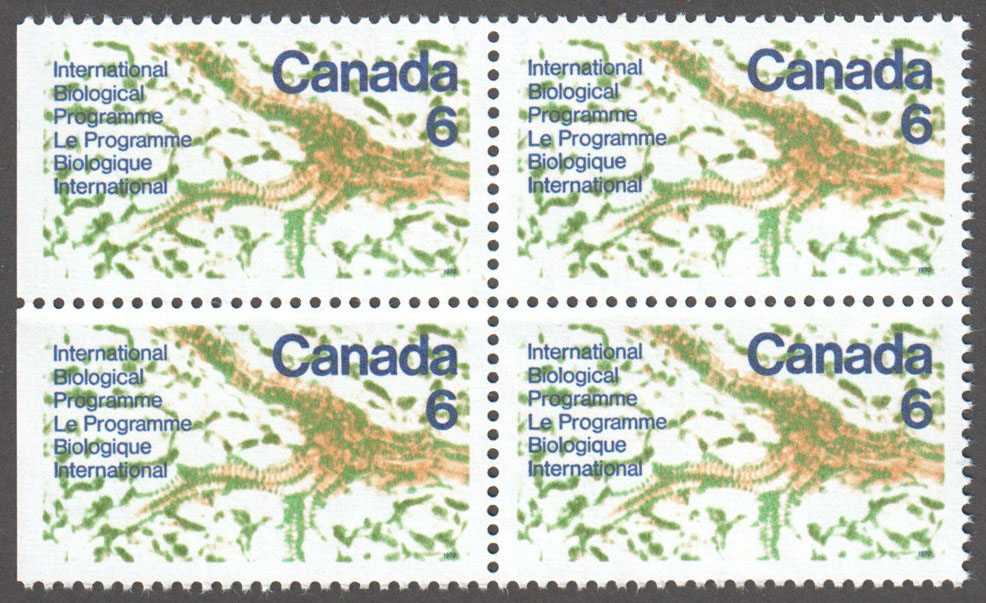 Canada Scott 507 MNH Block - Click Image to Close